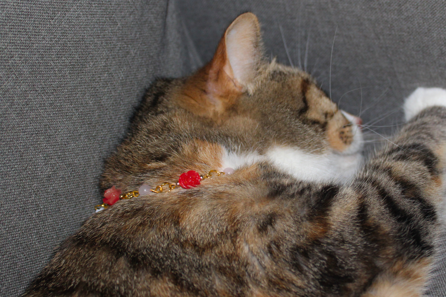 Rose & Quartz Garden Breakaway Collar