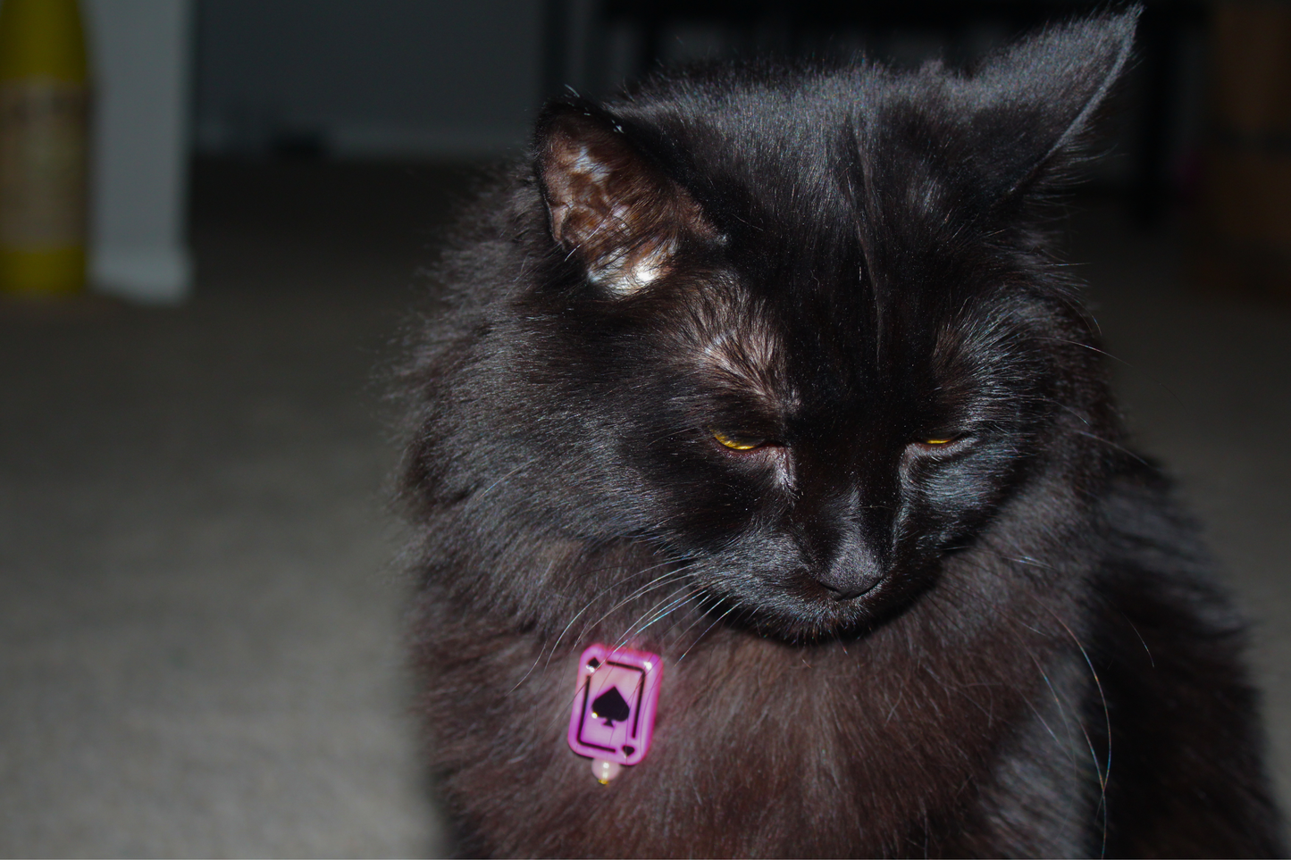 Pink Cards & Dice Collar