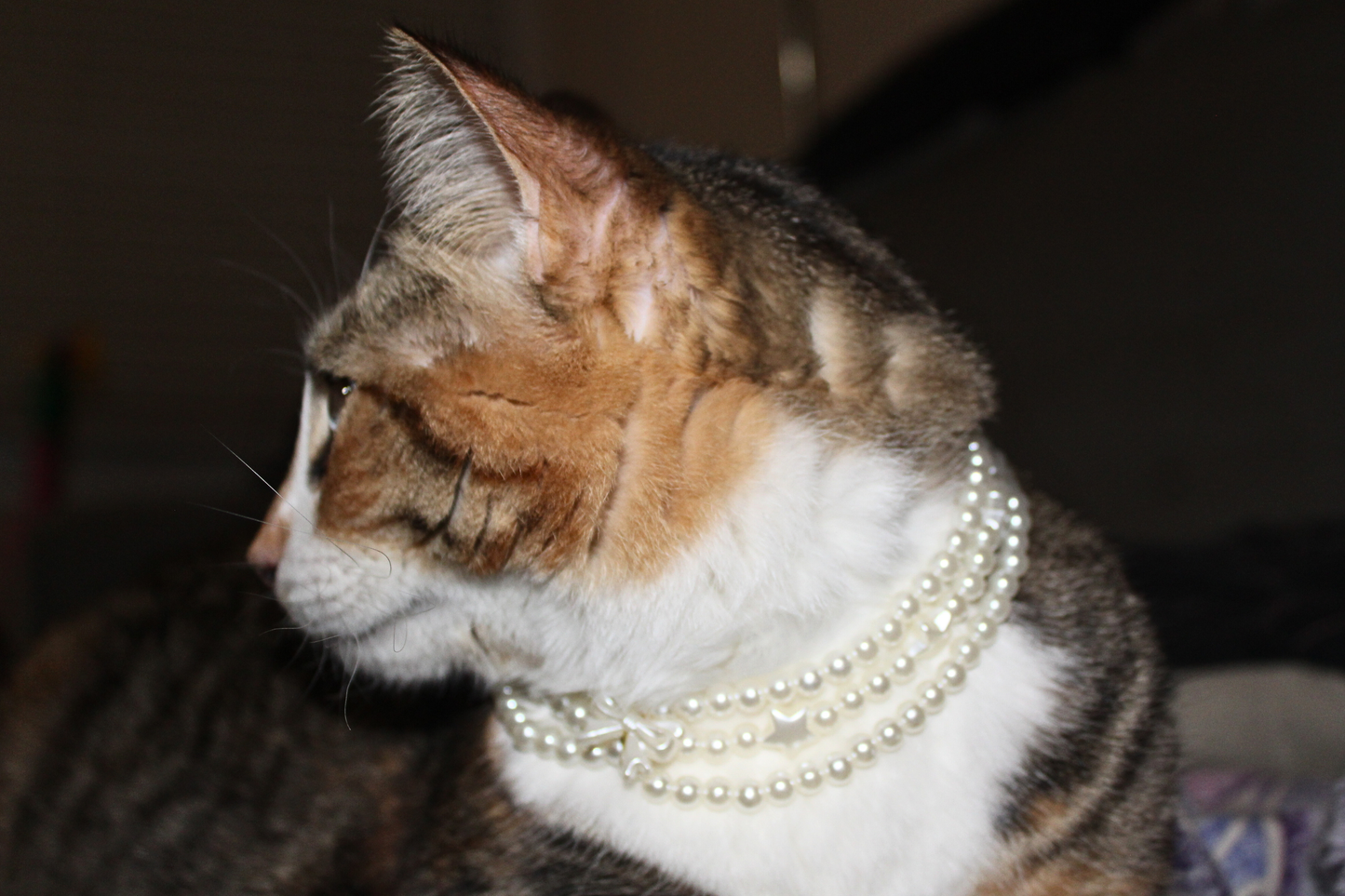 Triple Layered Pearl Breakaway Collar