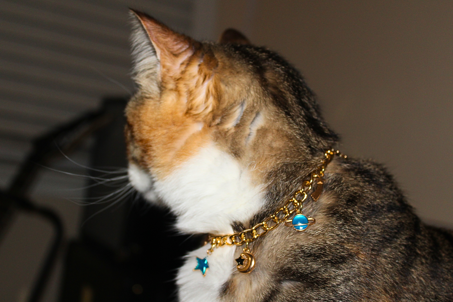 Celestial Charm Breakaway Collar