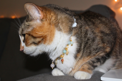 Amazonite Crystal Breakaway Collar