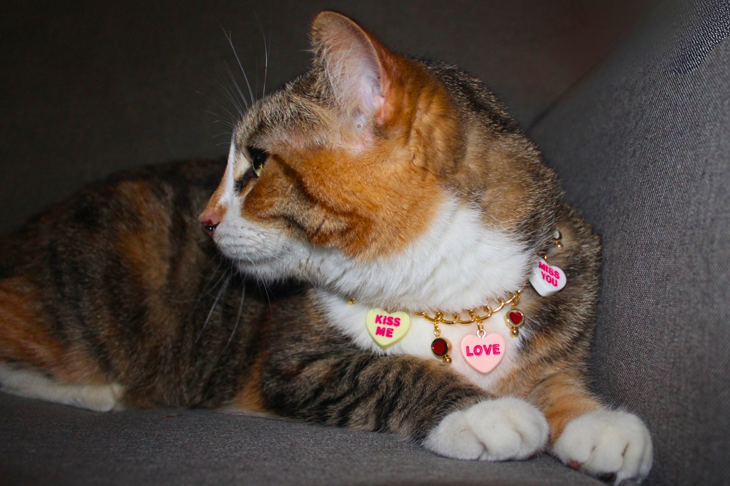 Message Heart Charm Breakaway Collar