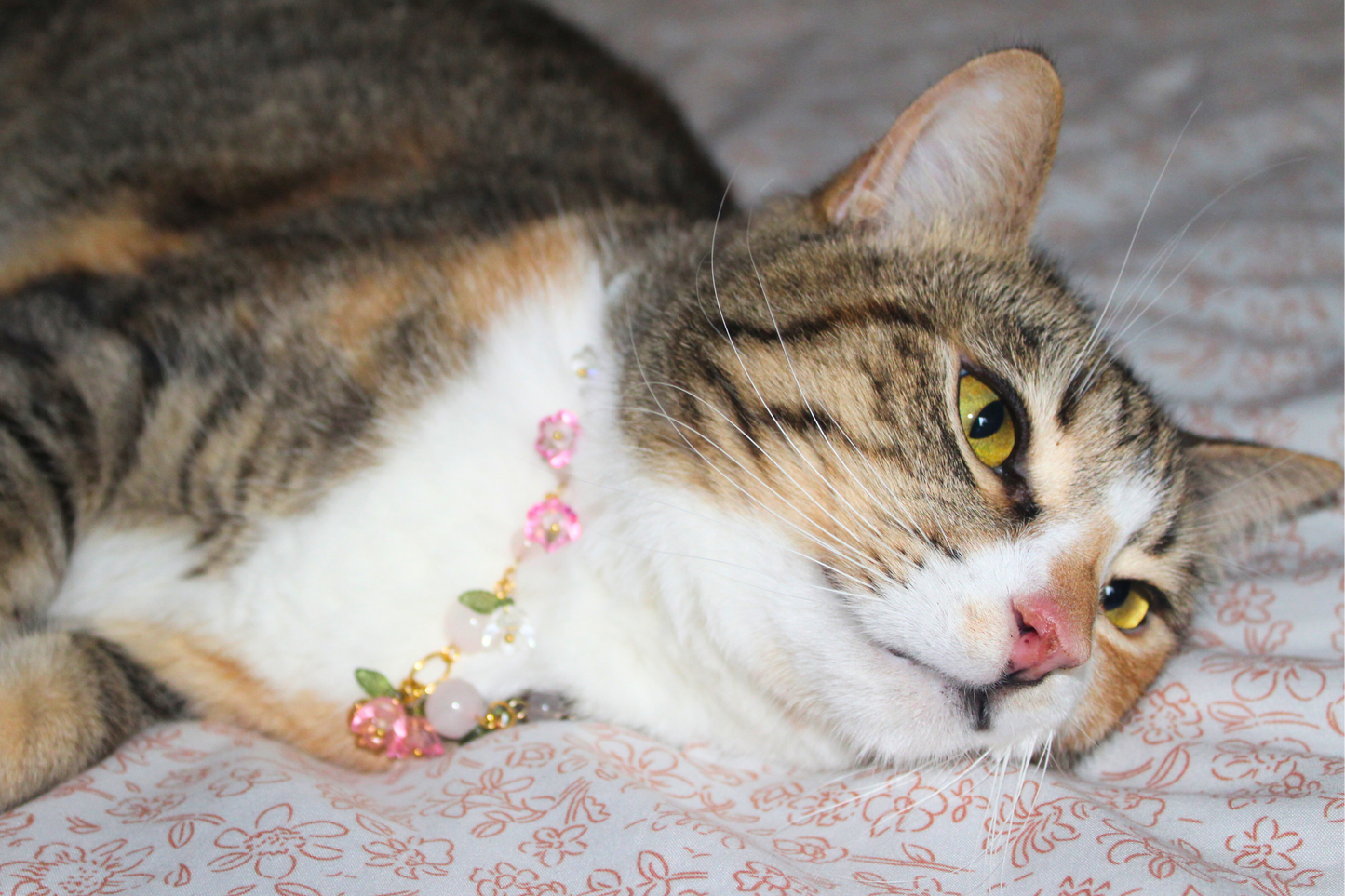 Rose Quartz Garden Collar