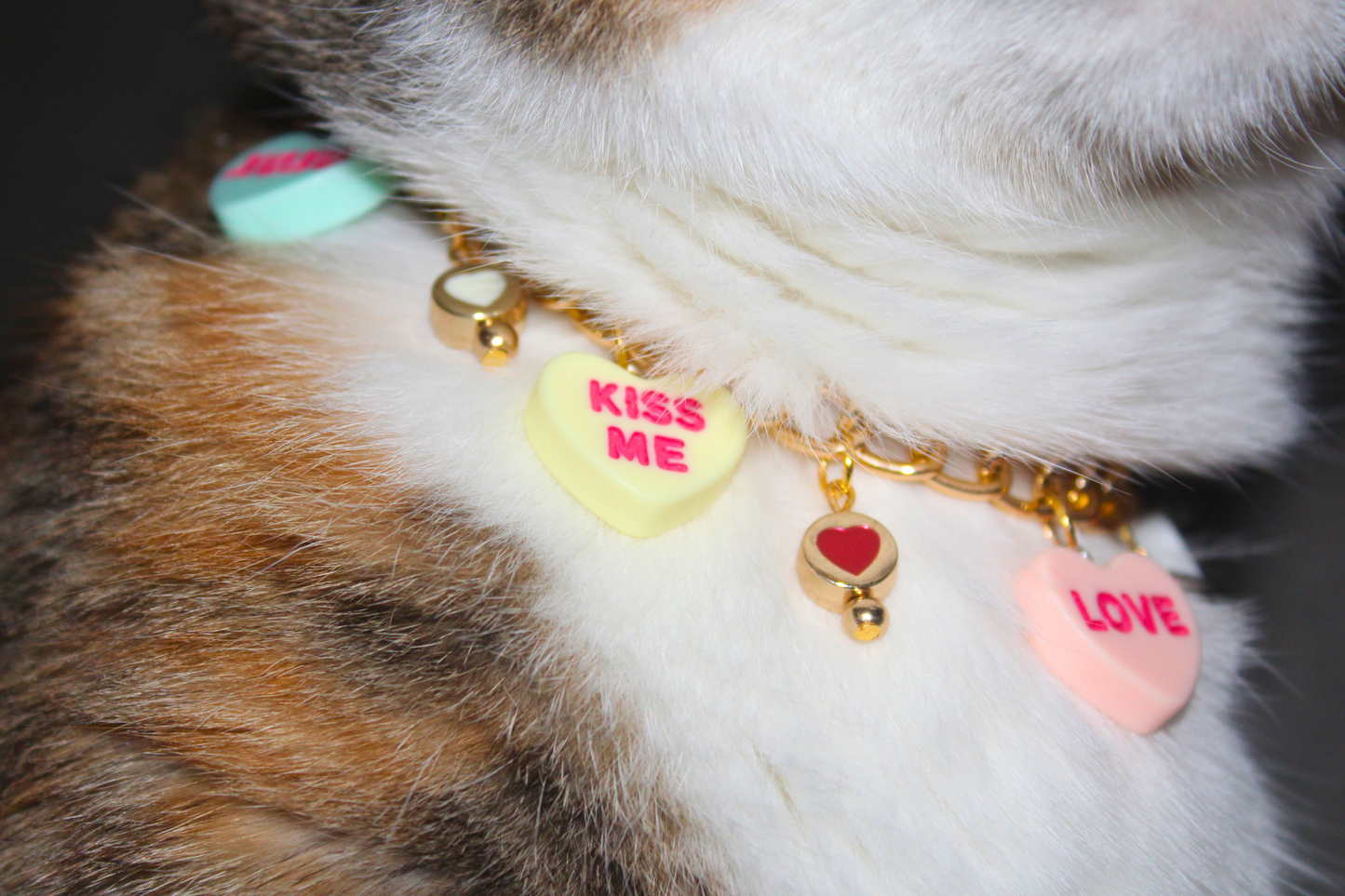 Message Heart Charm Breakaway Collar