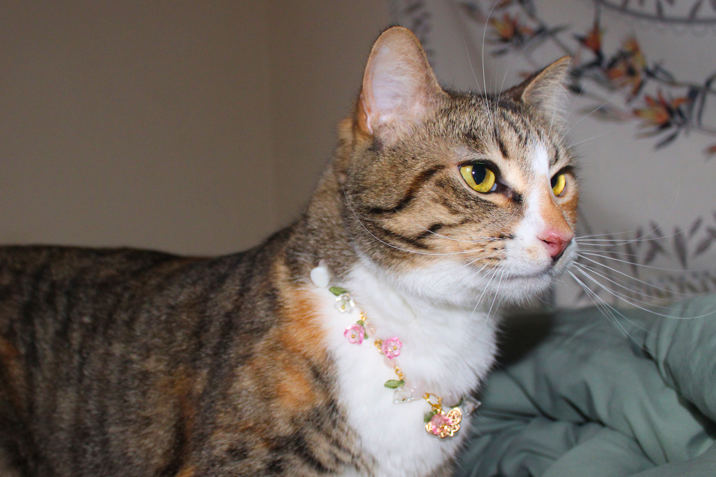 Rose Quartz Garden Collar