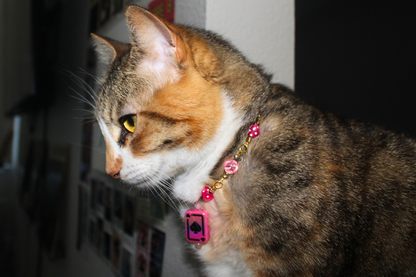 Pink Cards & Dice Collar
