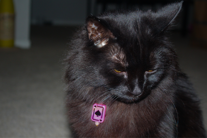 Pink Cards & Dice Collar