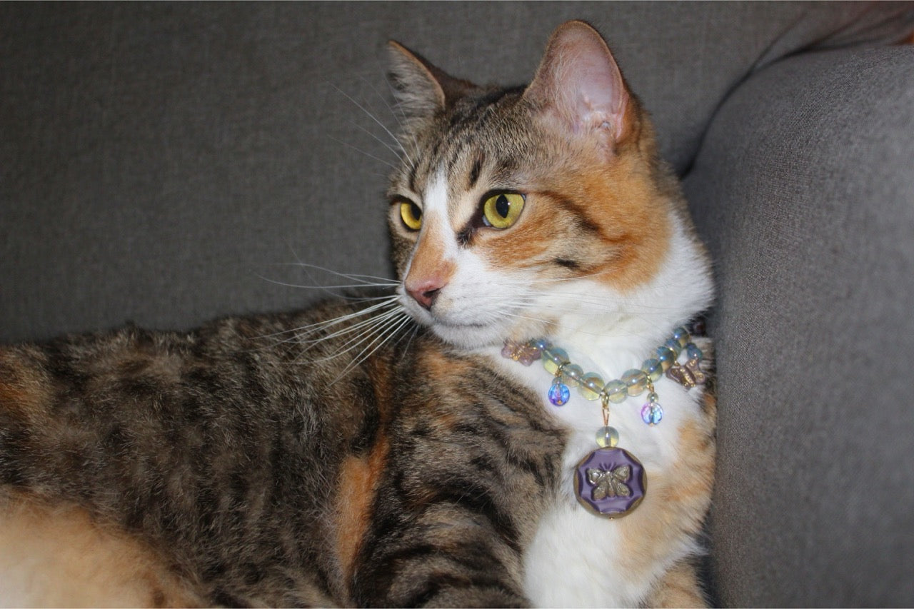 Butterfly Bubbles Breakaway Collar