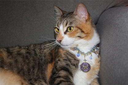 Butterfly Bubbles Breakaway Collar