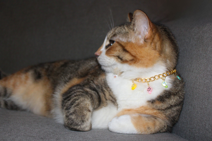 Happy Days Charm Breakaway Collar