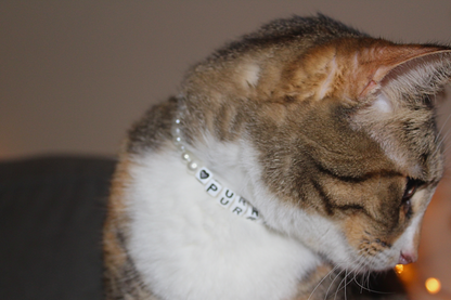 Purrincess Pearl Breakaway Collar