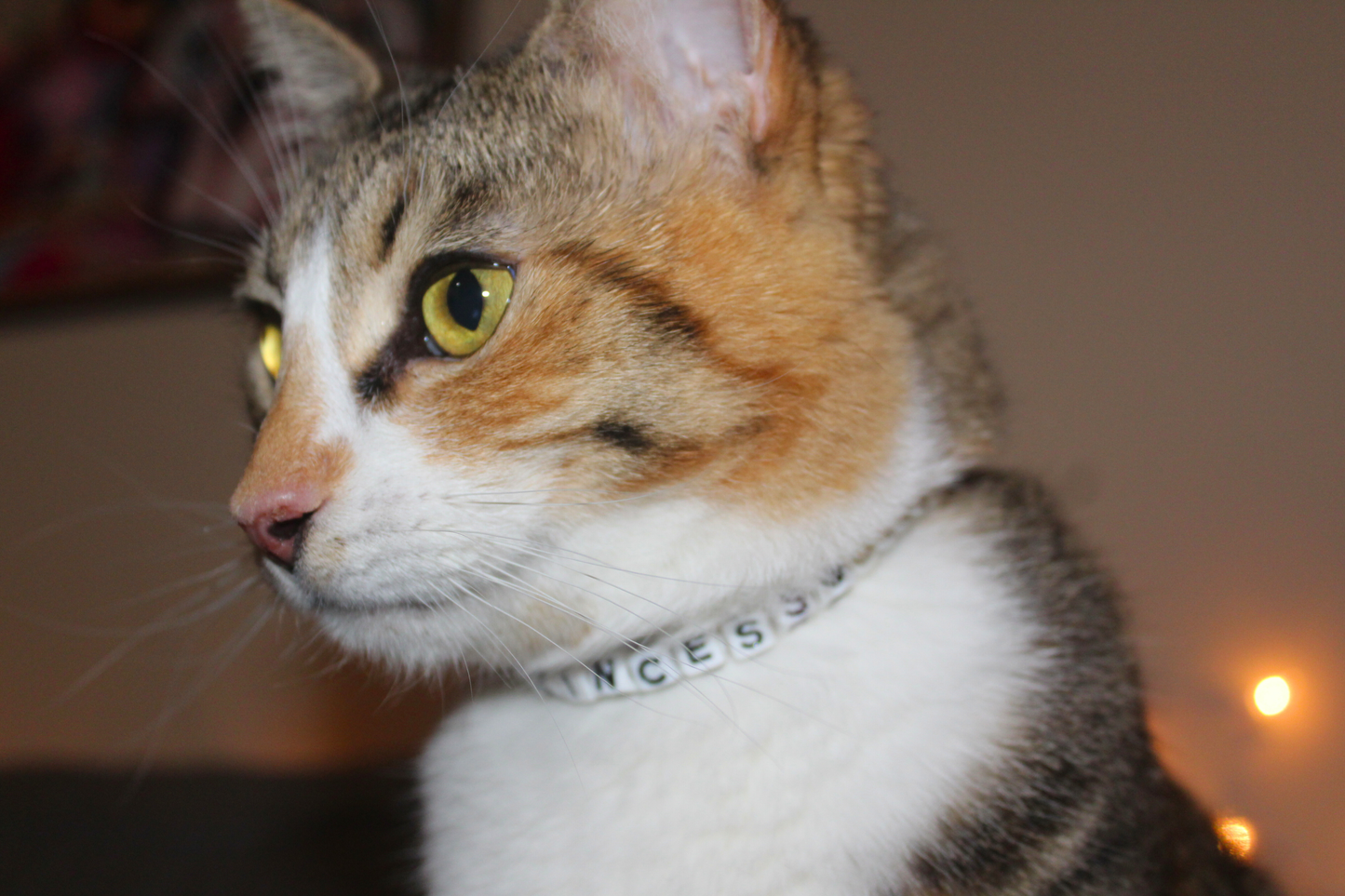 Purrincess Pearl Breakaway Collar