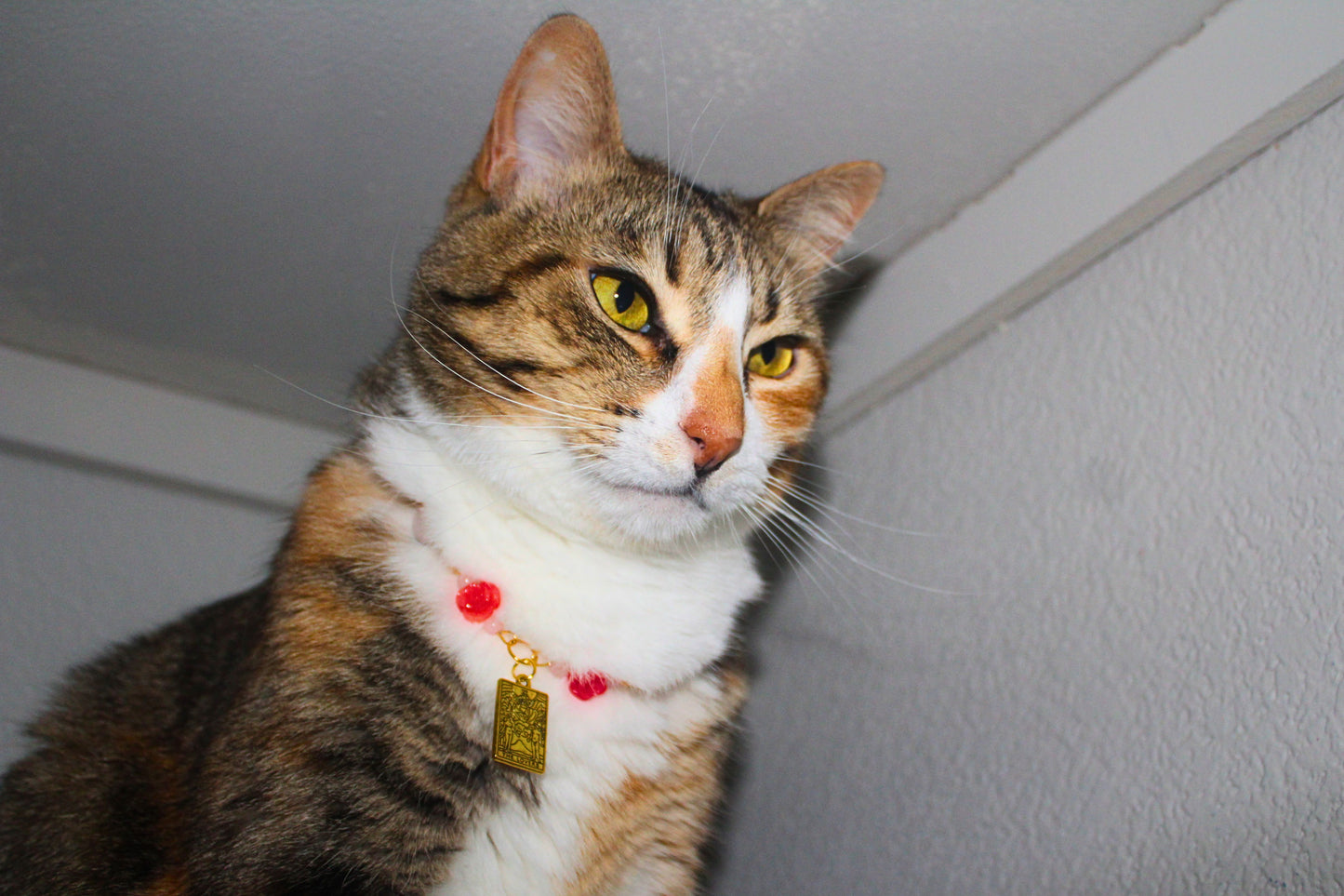 The Lovers Tarot Collar