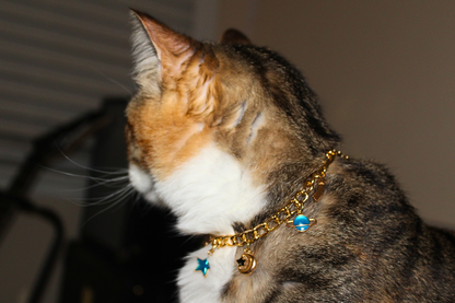 Celestial Charm Breakaway Collar